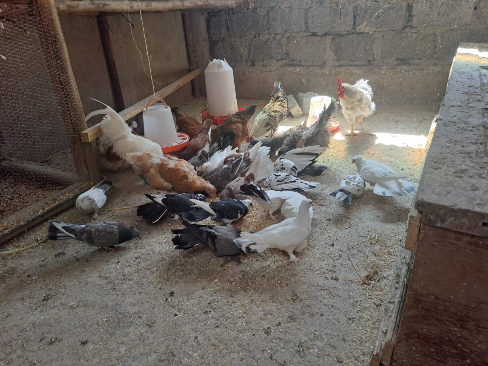 Farm visit gallery image 1