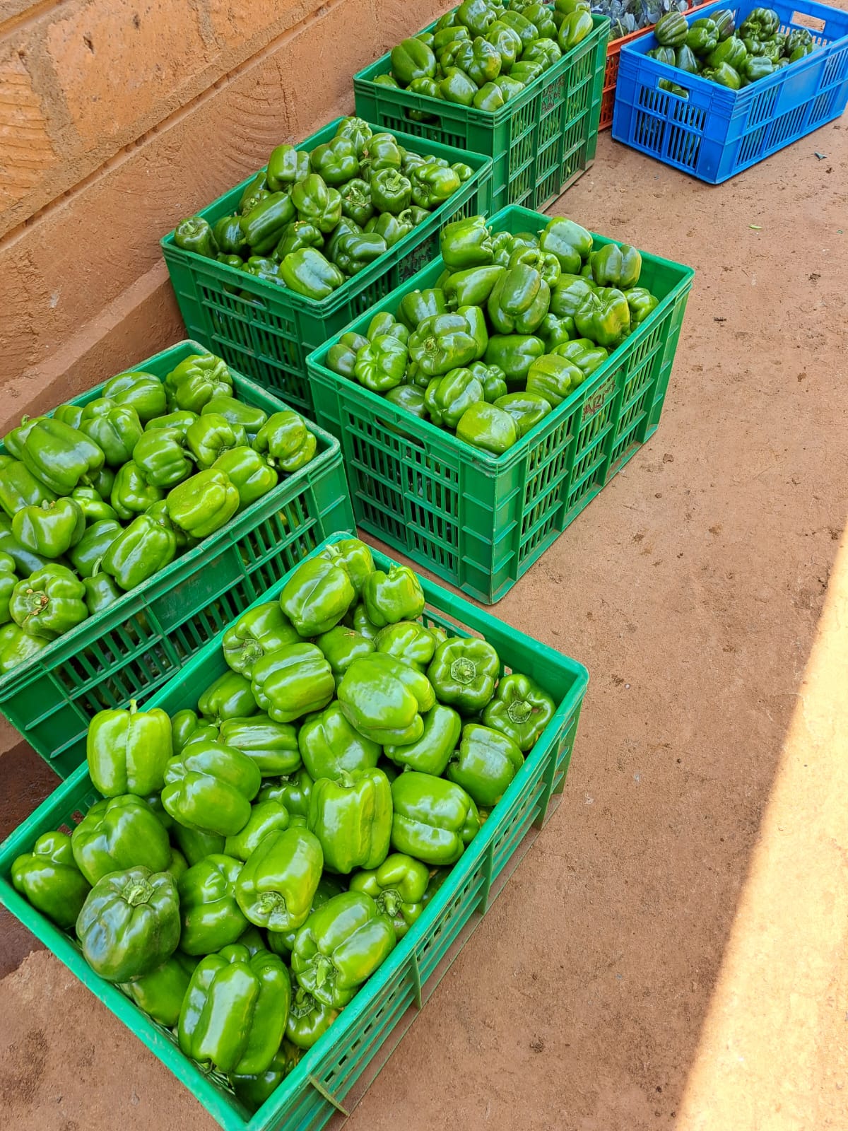 Farm visit gallery image 3