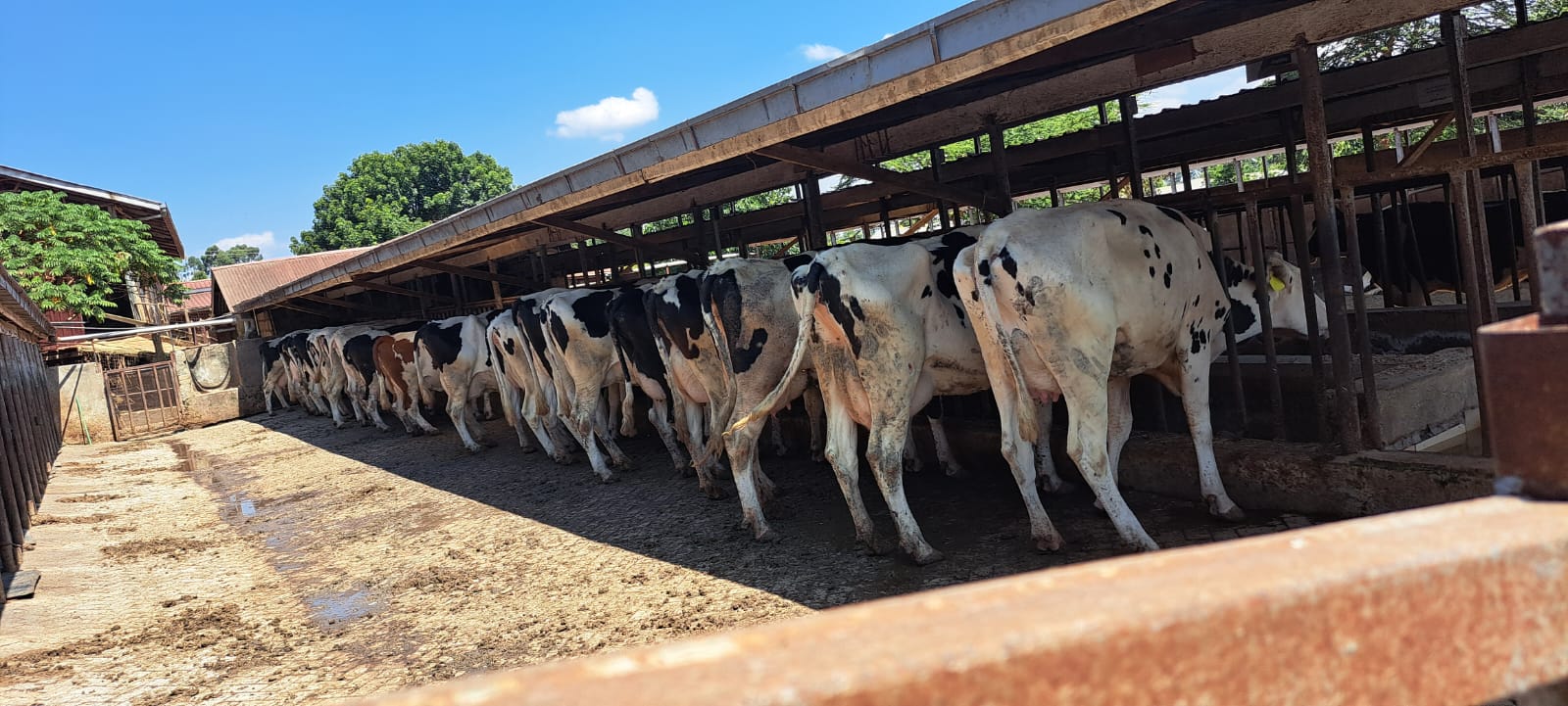 Farm visit gallery image 6