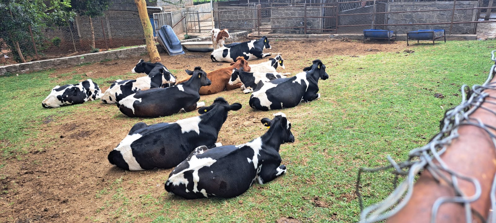 Farm visit gallery image 7